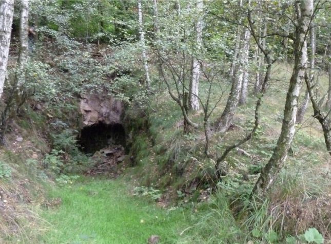 Old tunnel mouth hole in the Erzgebirge Mountains 2011